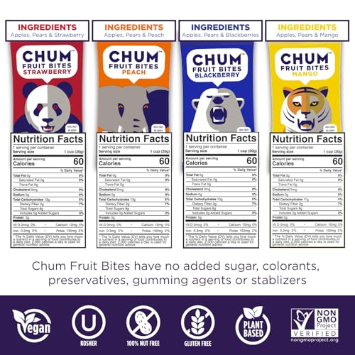 CHUM Fruit Bites 100% Real Fruit Snacks - Variety, 40 Pack | Non-GMO, No Added Sugar or Preservatives | Top 12 Allergen 